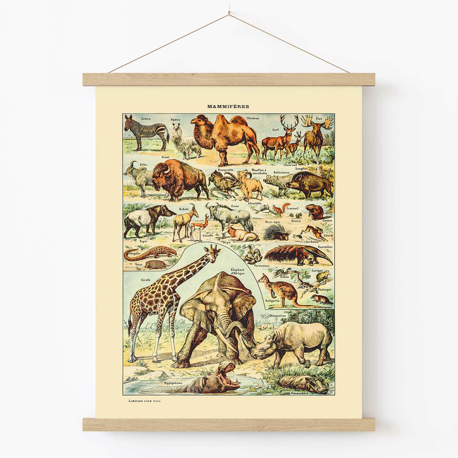 African Safari Art Print in Wood Hanger Frame on Wall