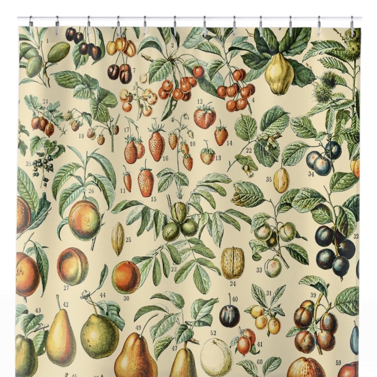 All Sorts of Fruits Shower Curtain Close Up, Botanical Shower Curtains