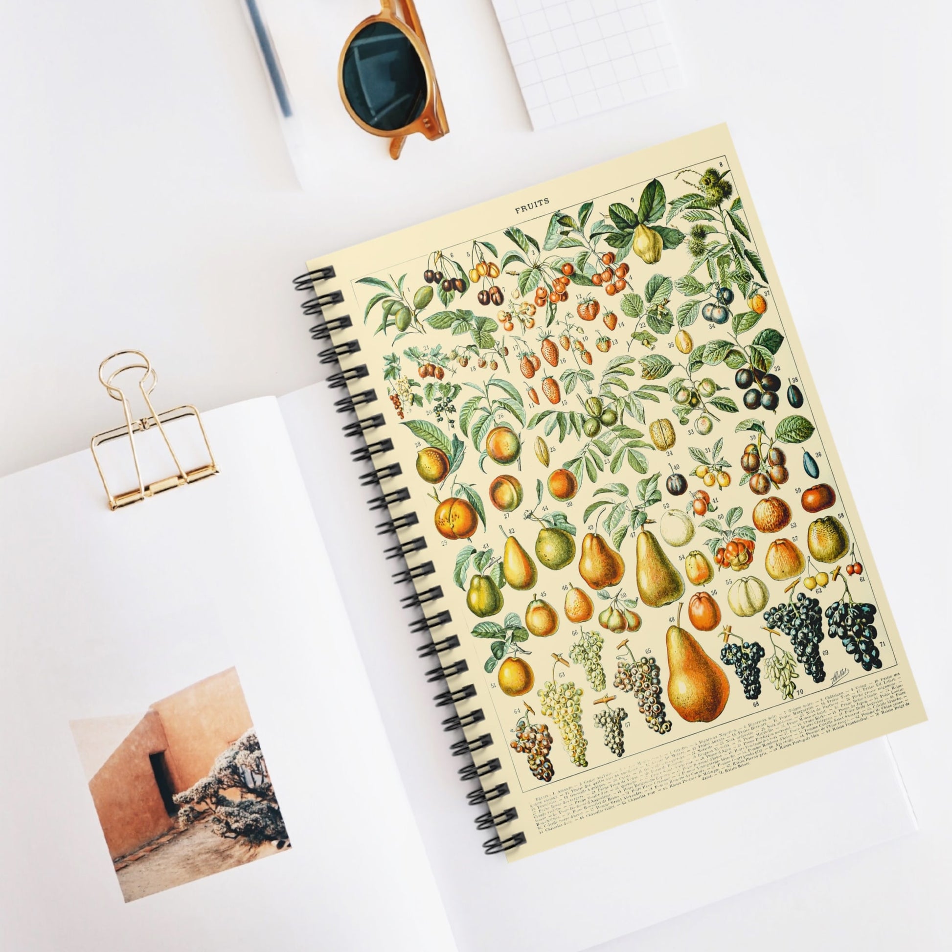 All Sorts of Fruits Spiral Notebook Displayed on Desk