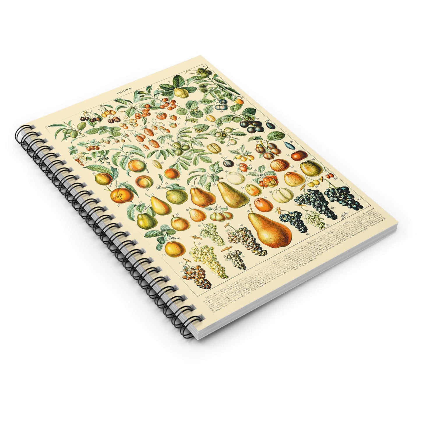 All Sorts of Fruits Spiral Notebook Laying Flat on White Surface