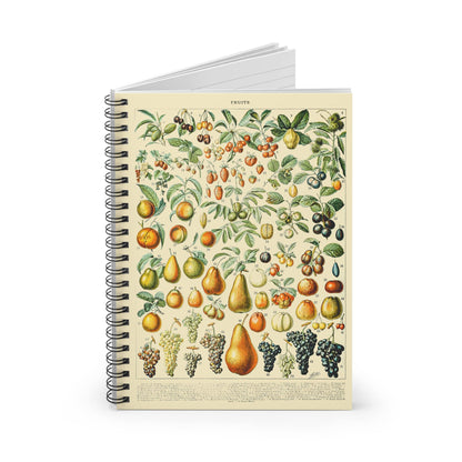 All Sorts of Fruits Spiral Notebook Standing up on White Desk