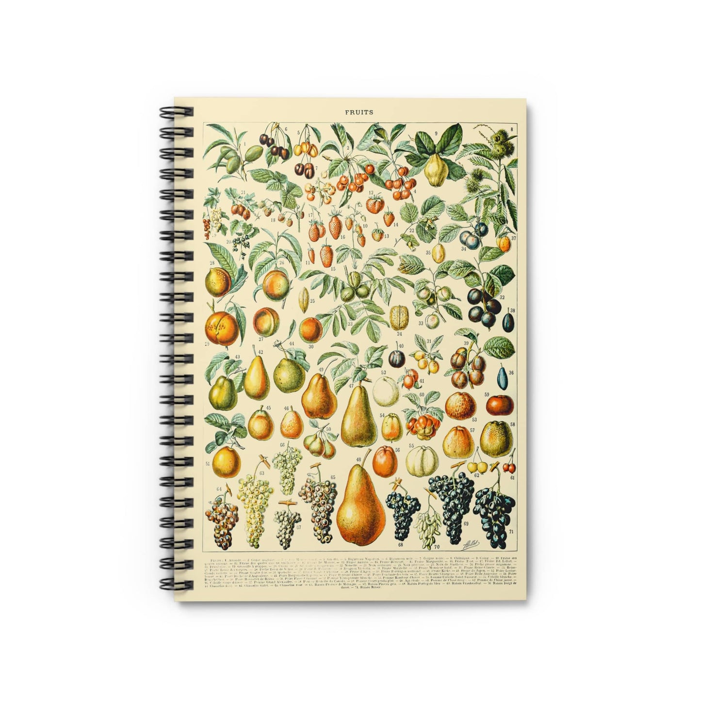All Sorts of Fruits Notebook with Fruits Chart cover, perfect for journaling and planning, featuring various fruit charts.