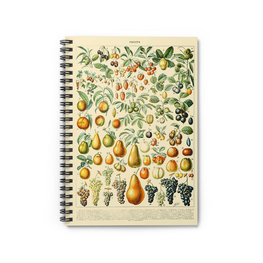 All Sorts of Fruits Notebook with Fruits Chart cover, perfect for journaling and planning, featuring various fruit charts.