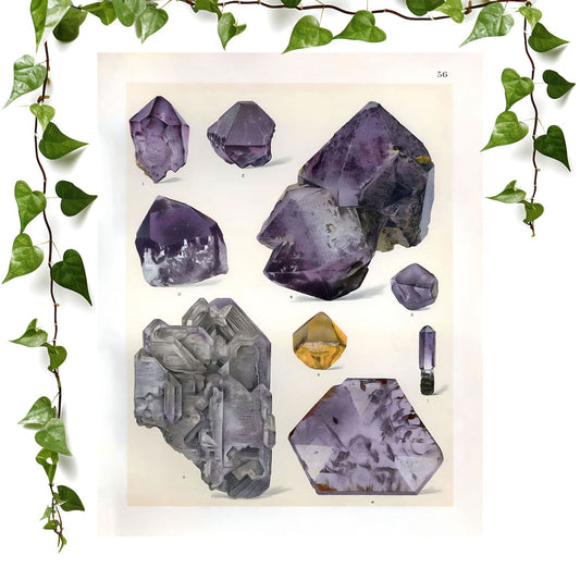 Amethyst Gemstones art print featuring purple crystals and gems, vintage wall art room decor