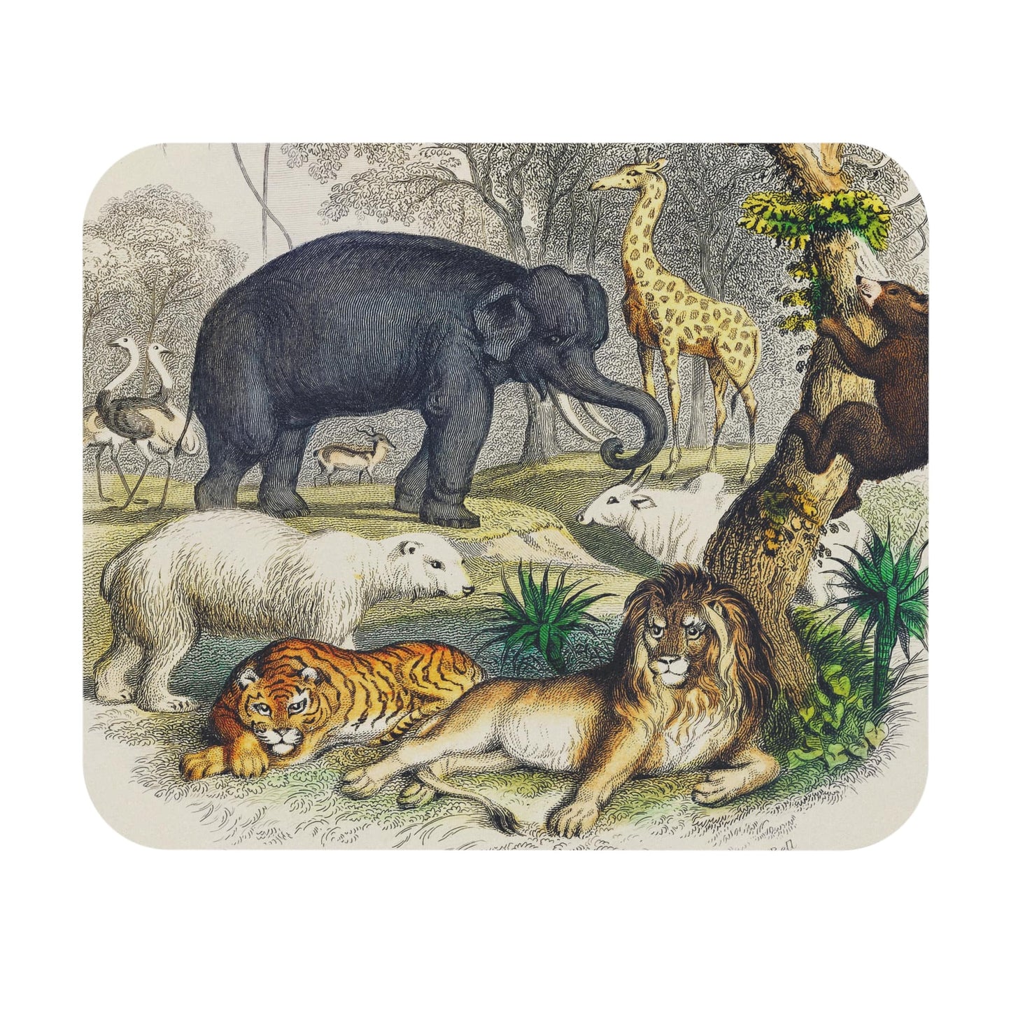 Animal Book Cover Mouse Pad with nature drawing art, desk and office decor showcasing detailed animal illustrations.