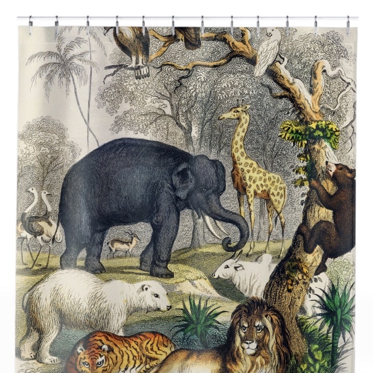 Animal Book Cover Shower Curtain Close Up, Science Shower Curtains