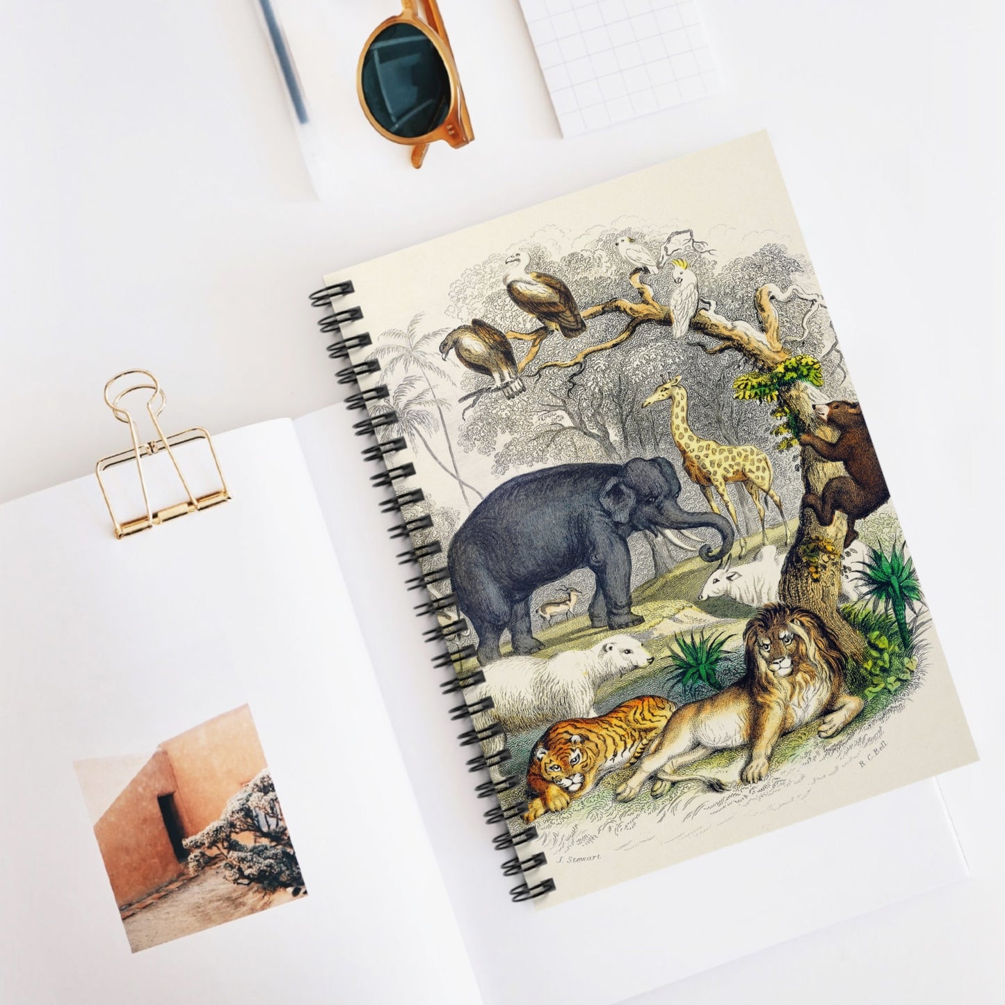 Animal Book Cover Spiral Notebook Displayed on Desk