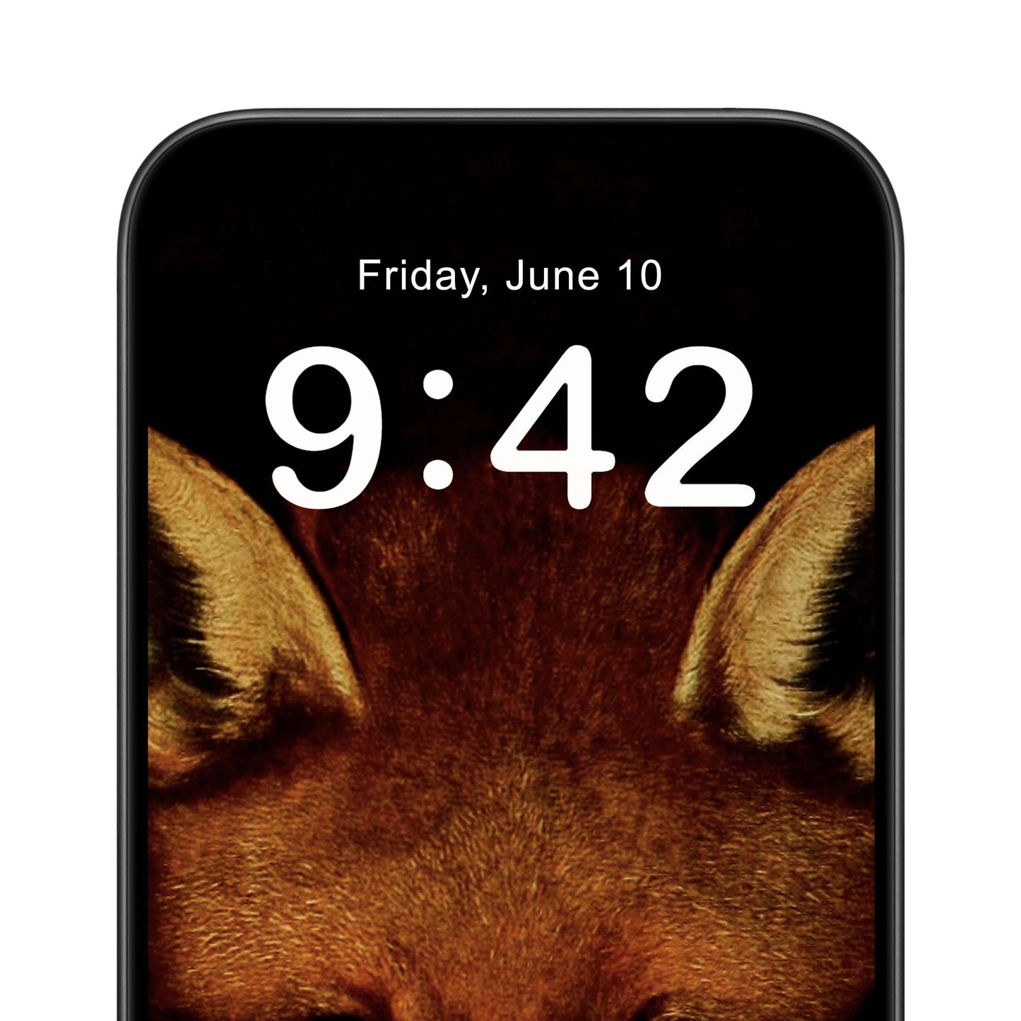 Animal Portrait Phone Wallpaper Close Up