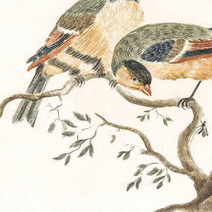 Vintage Bird Drawing Close Up 2