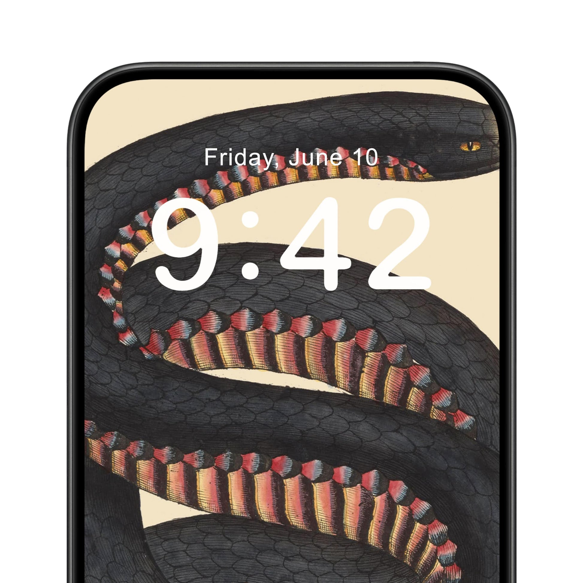 Big Snake Phone Wallpaper Close Up