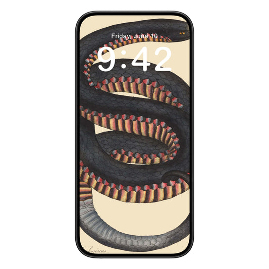 Big Snake phone wallpaper background with cool snake drawing design shown on a phone lock screen, instant download available.