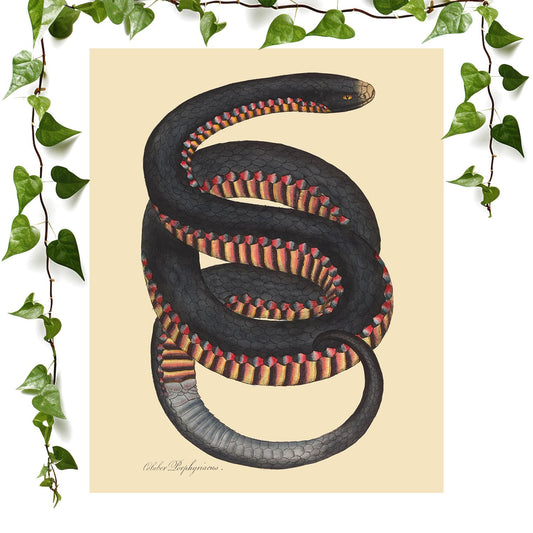 Big Snake art print cool snake drawing, vintage wall art room decor