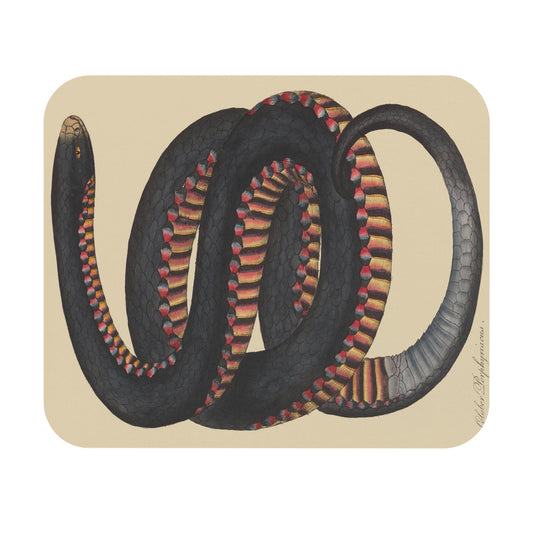 Big Snake Mouse Pad with cool snake drawing art, desk and office decor featuring large snake illustrations.