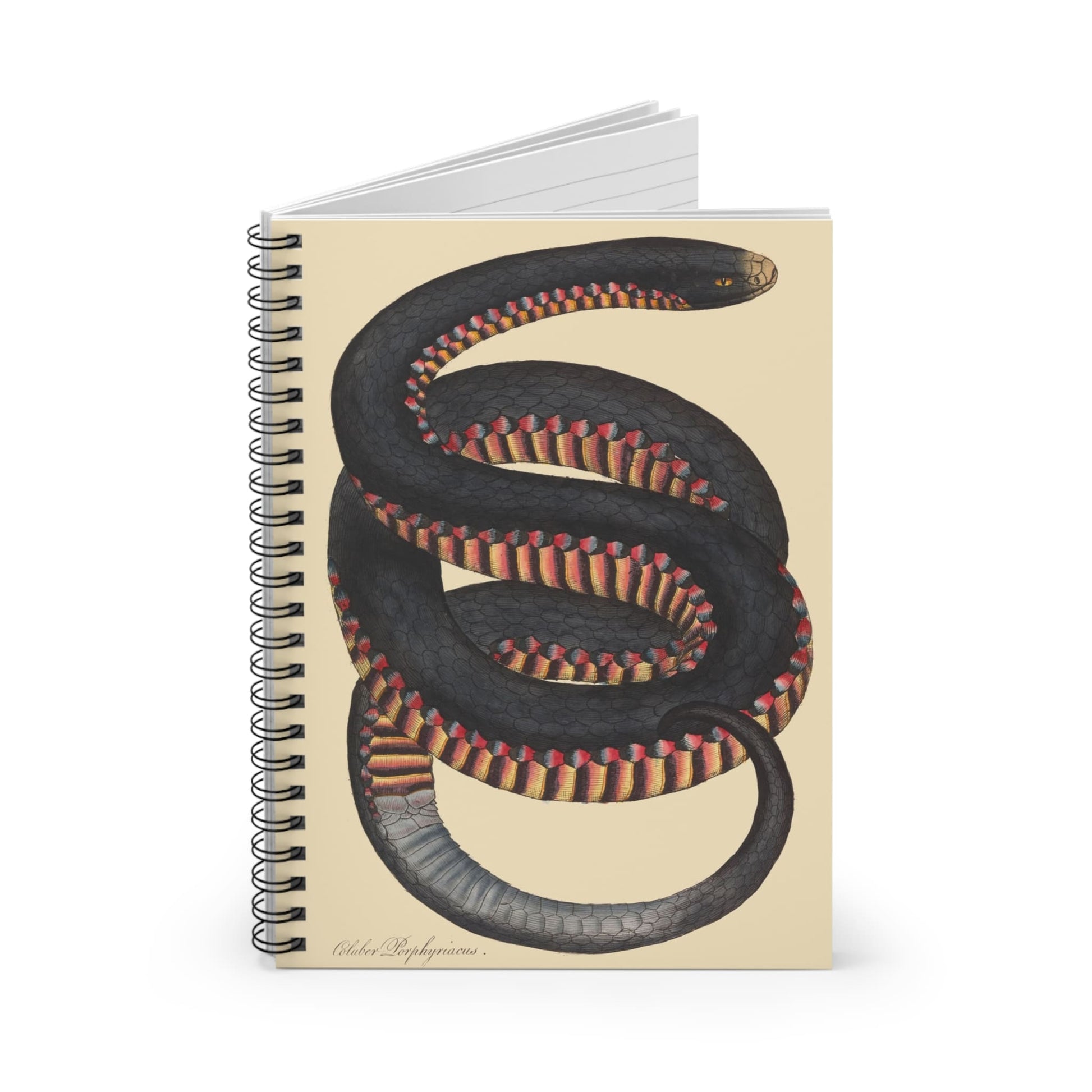 Big Snake Spiral Notebook Standing up on White Desk