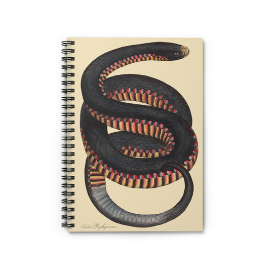 Big Snake Notebook with cool snake drawing cover, perfect for journaling and planning, featuring large snake illustrations.