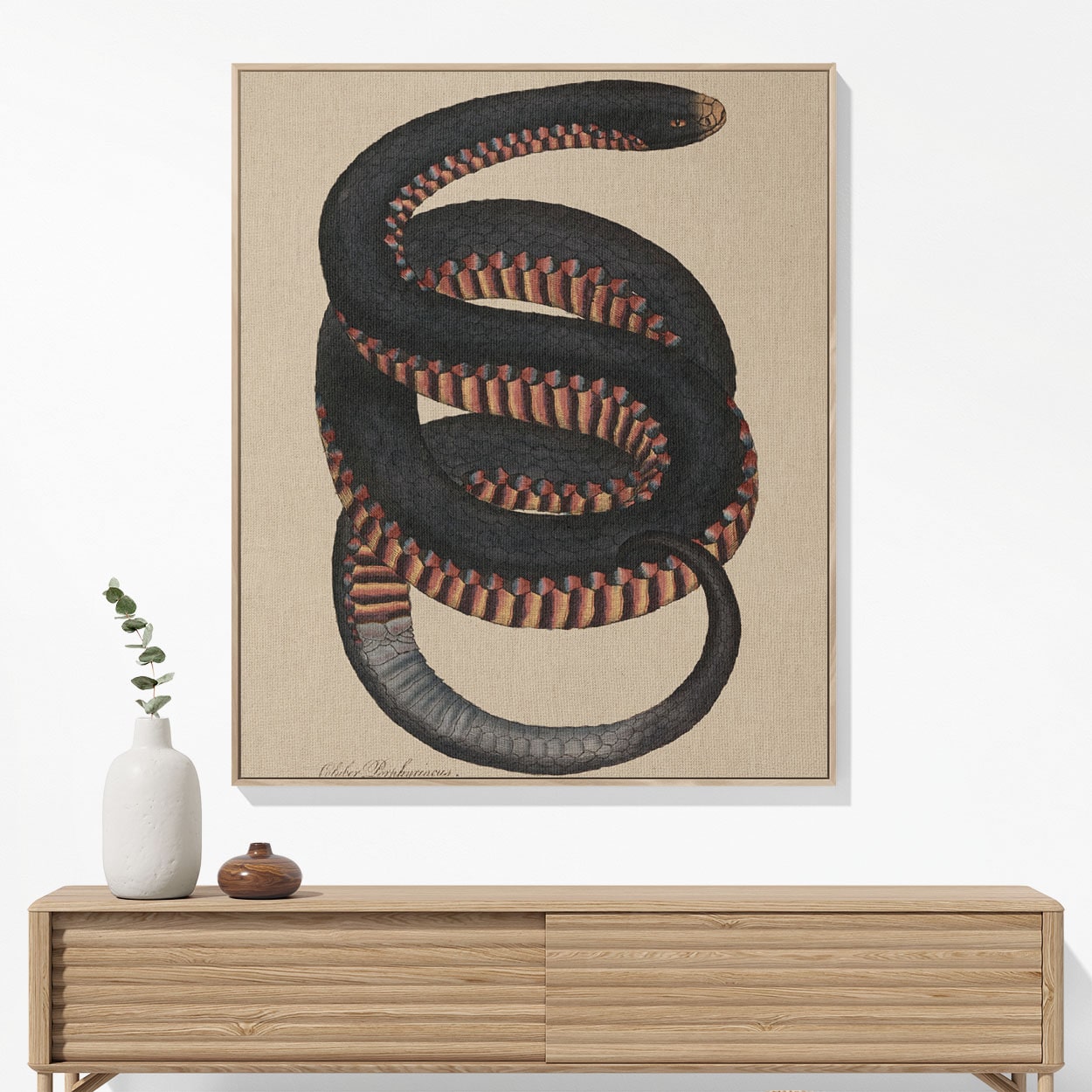 Big Snake Woven Blanket Hanging on a Wall as Framed Wall Art