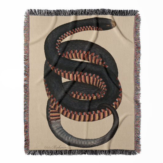 Big Snake woven throw blanket, made with 100% cotton, offering a soft and cozy texture with a cool snake drawing for home decor.