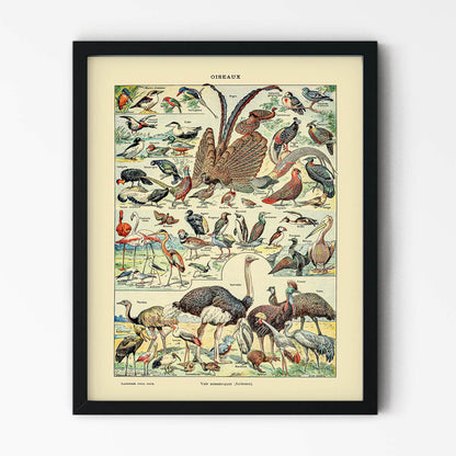 Wild Birds Painting in Black Picture Frame