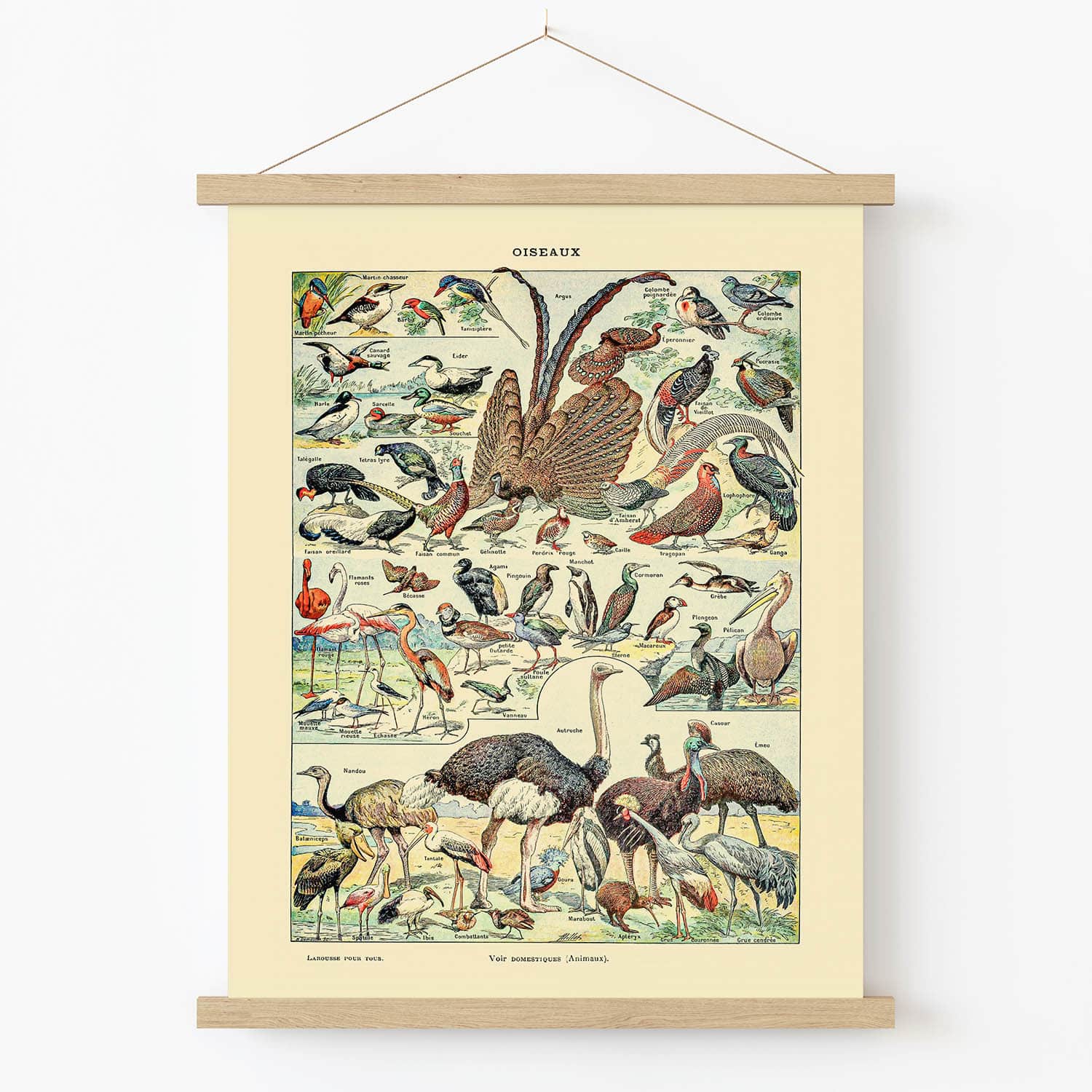 Wild Birds Art Print in Wood Hanger Frame on Wall