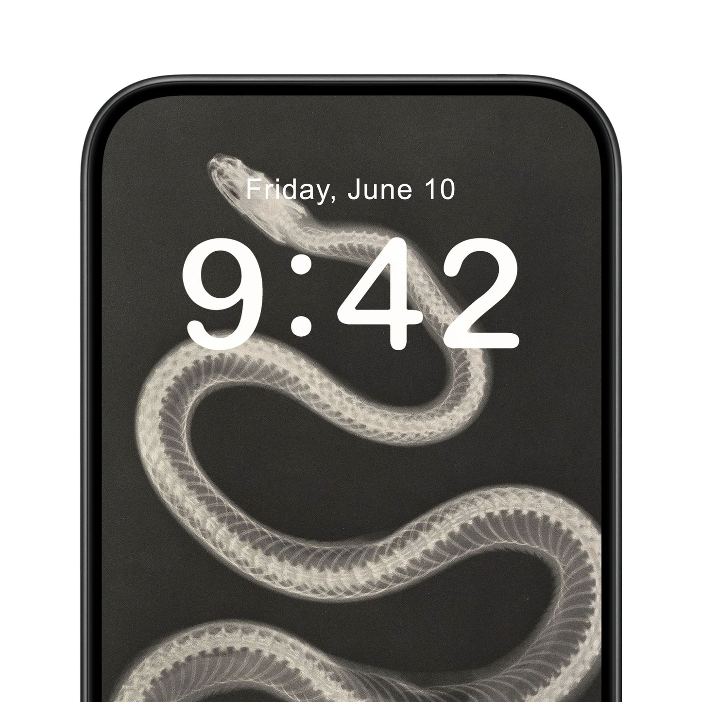 Black and White Snake Phone Wallpaper Close Up