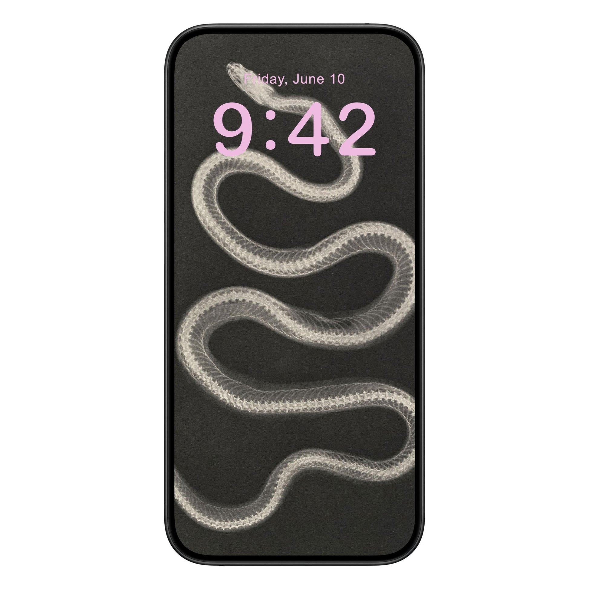 Black and White Snake Phone Wallpaper Pink Text