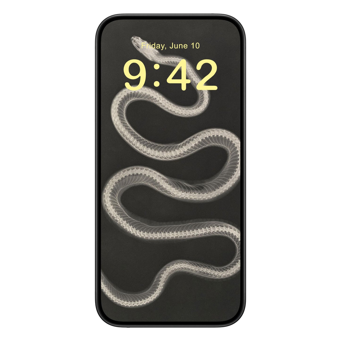 Black and White Snake Phone Wallpaper Yellow Text