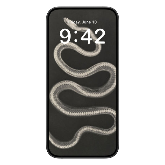 Black and White phone wallpaper background with snake x-ray design shown on a phone lock screen, instant download available.