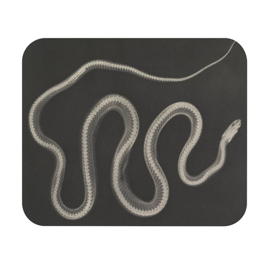 Black and White Mouse Pad with snake X-ray art design, desk and office decor featuring detailed snake illustrations.