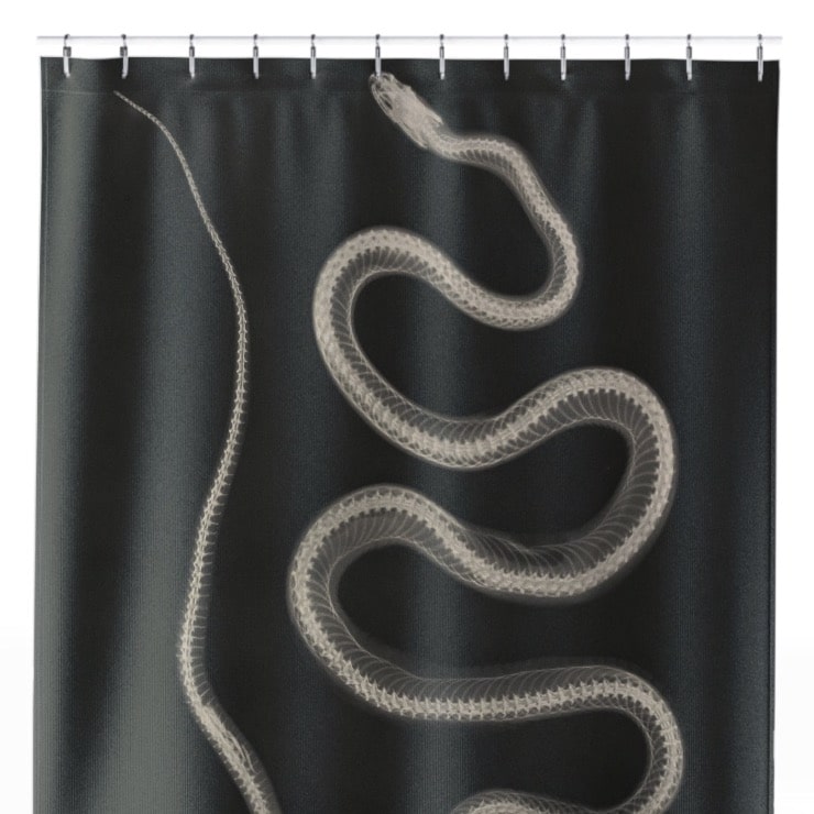 Black and White Snake Shower Curtain Close Up, Science Shower Curtains