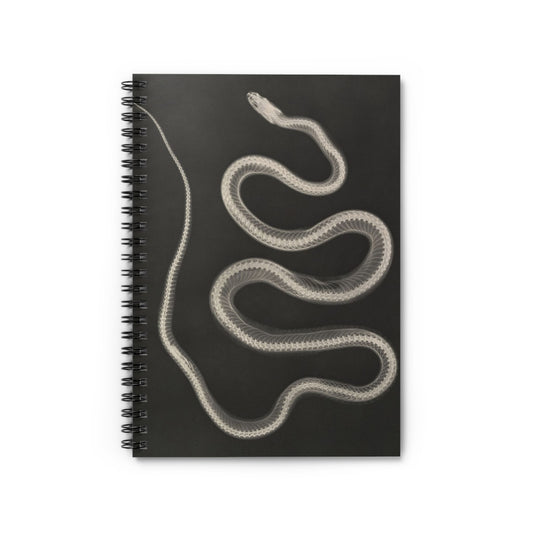 Black and White Notebook with snake X-ray cover, perfect for journaling and planning, featuring unique snake X-ray illustrations.