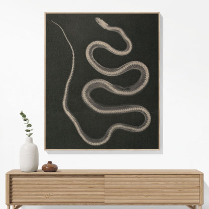 Black and White Snake Woven Blanket Hanging on a Wall as Framed Wall Art