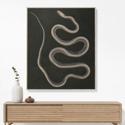 Black and White Snake Woven Blanket Woven Blanket Hanging on a Wall as Framed Wall Art