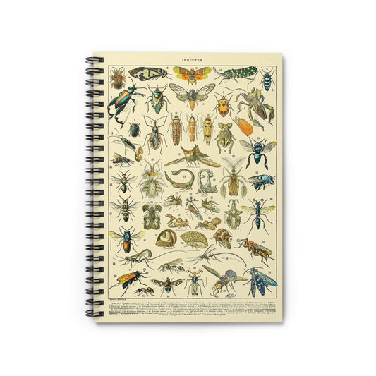 Bugs and Insects Notebook with Science Drawing cover, great for journaling and planning, highlighting scientific drawings of insects.