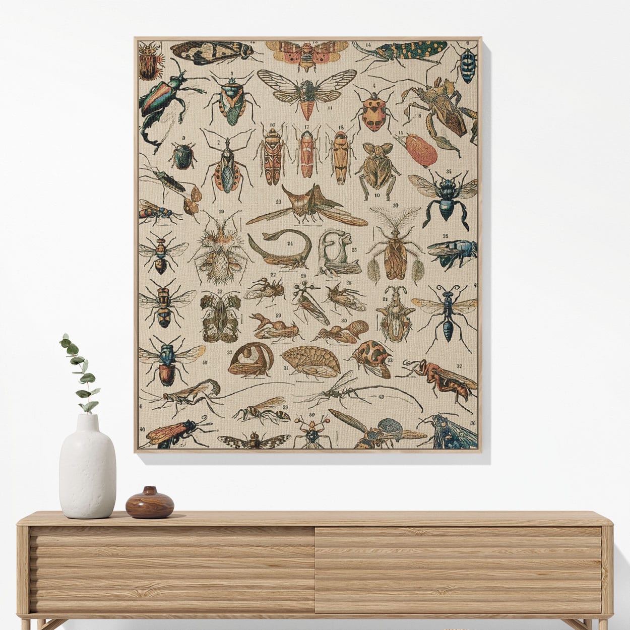 Bugs and Insects Woven Blanket Woven Blanket Hanging on a Wall as Framed Wall Art
