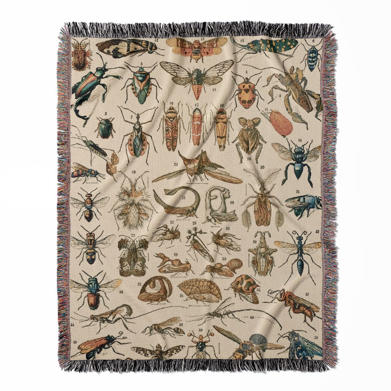 Bugs and Insects woven throw blanket, crafted from 100% cotton, offering a soft and cozy texture with a science drawing for home decor.