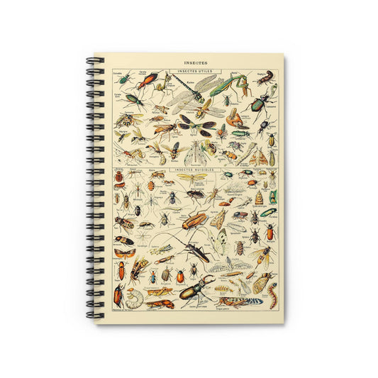 Bugs and Insects Notebook with Insect Identification cover, ideal for journaling and planning, showcasing insect identification charts.