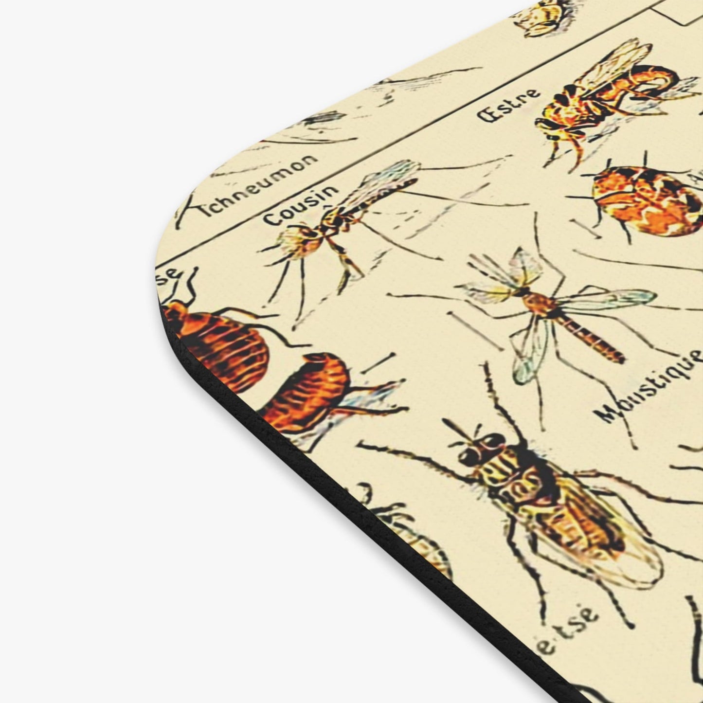 Bugs and Insects Vintage Mouse Pad Design Close Up