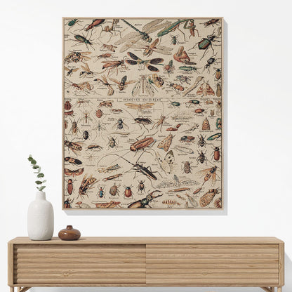 Bugs and Insects Woven Blanket Hanging on a Wall as Framed Wall Art