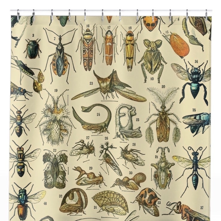 Bugs and Insects Shower Curtain Close Up, Science Shower Curtains