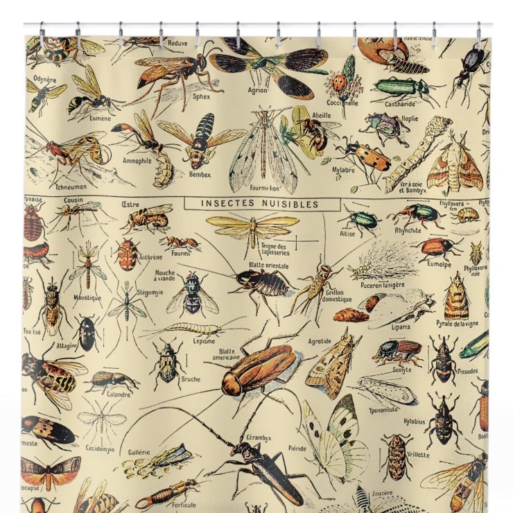 Bugs and Insects Shower Curtain Close Up, Science Shower Curtains