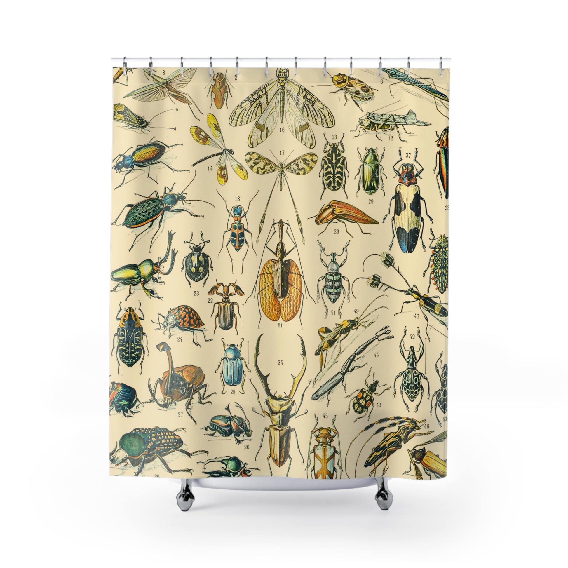 Bugs and Insects Shower Curtain with science chart design, educational bathroom decor featuring detailed insect charts.