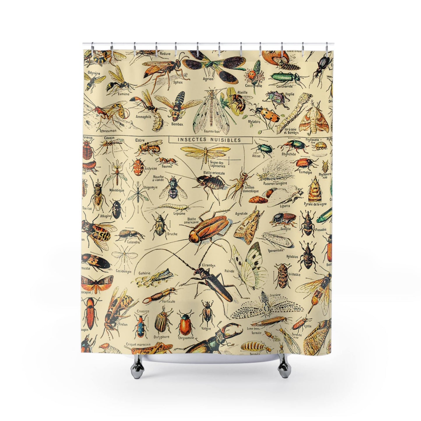 Bugs and Insects Shower Curtain with insect identification design, informative bathroom decor showcasing insect identification art.