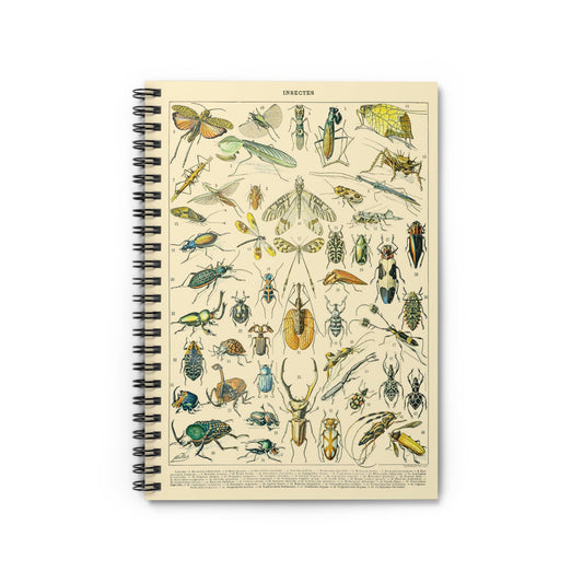 Bugs and Insects Notebook with Science Chart cover, perfect for journaling and planning, featuring detailed insect science charts.