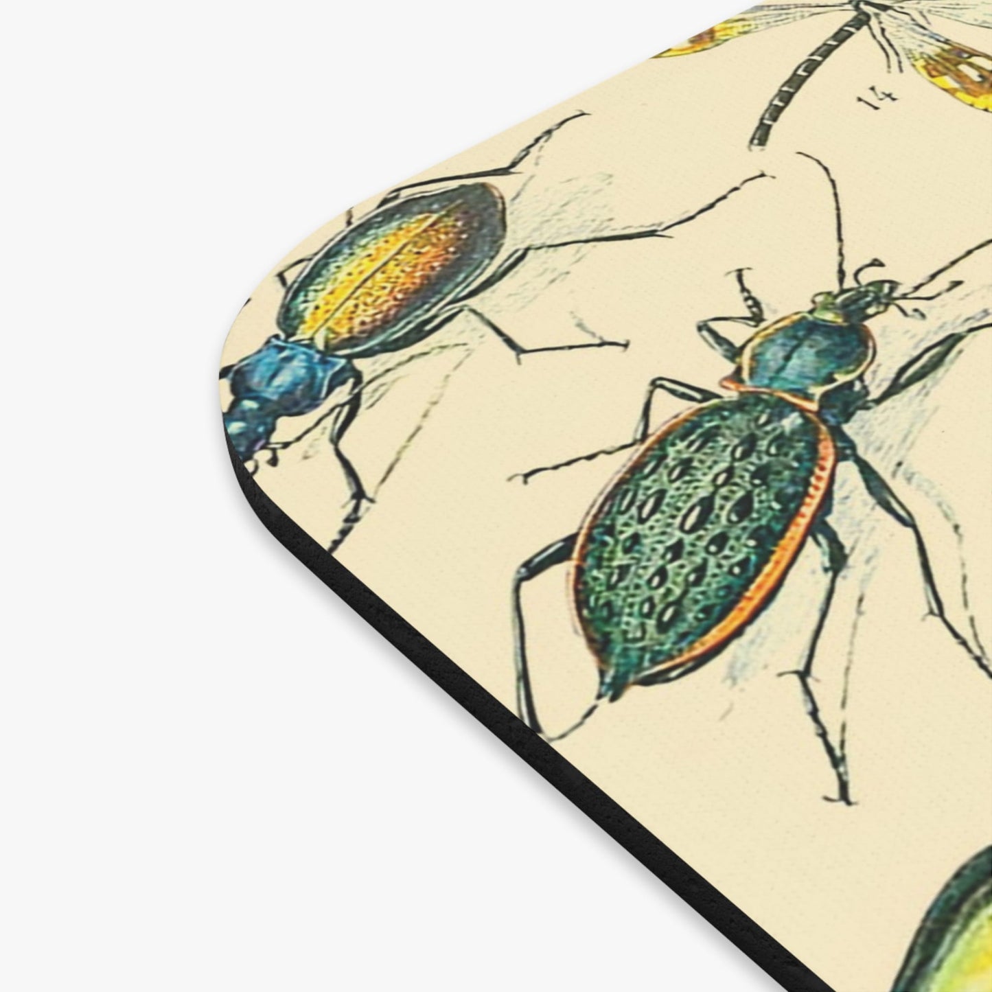 Bugs and Insects Vintage Mouse Pad Design Close Up