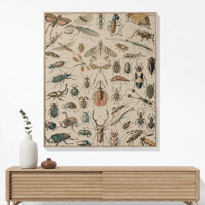 Bugs and Insects Woven Blanket Hanging on a Wall as Framed Wall Art