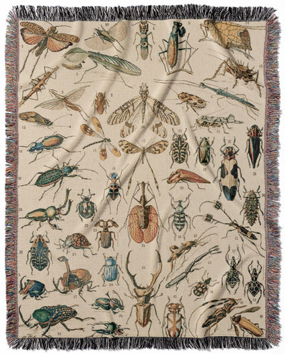 Bugs and Insects woven throw blanket, made of 100% cotton, featuring a soft and cozy texture with a science chart for home decor.