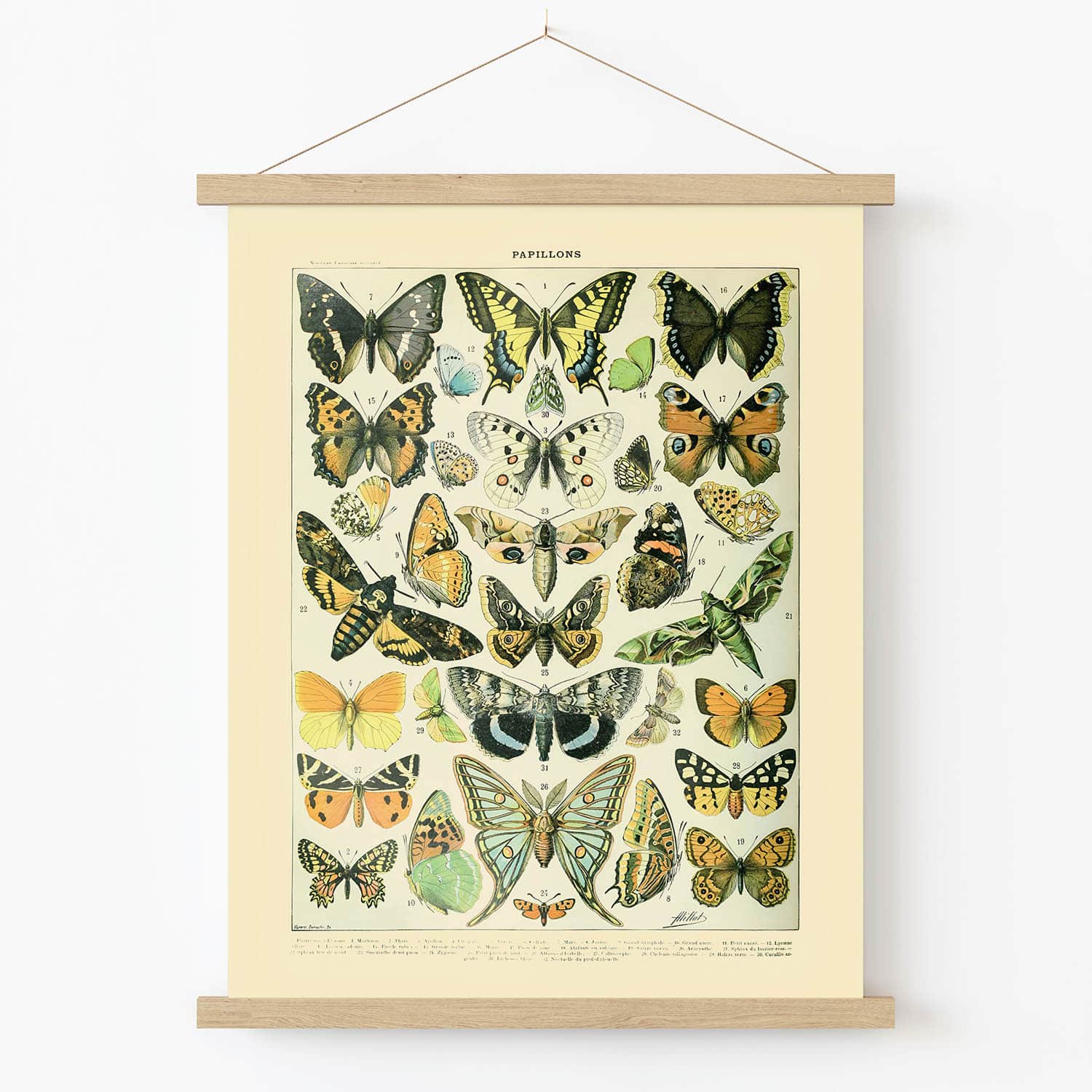 Monarch Butterfly Art Print in Wood Hanger Frame on Wall
