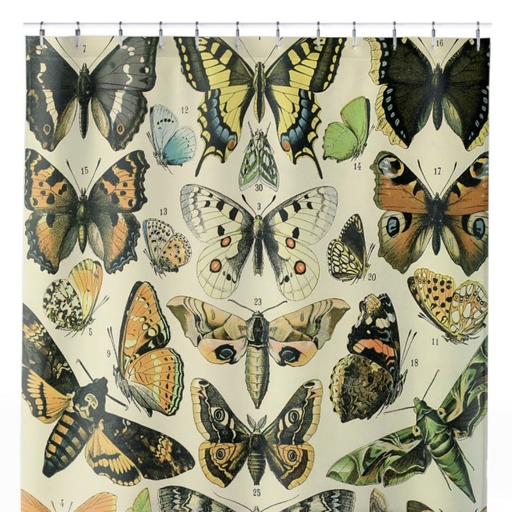 Butterflies Shower Curtain Close Up, Botanical Shower Curtains