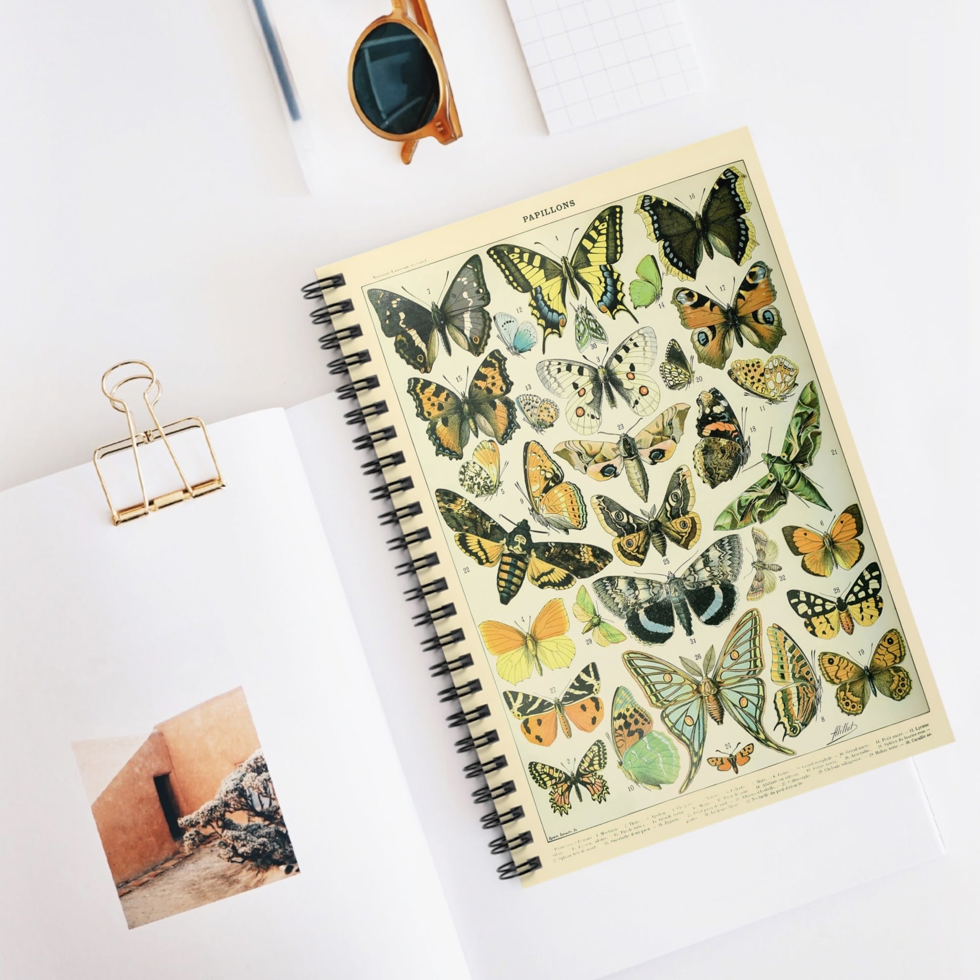 Butterflies Spiral Notebook Displayed on Desk