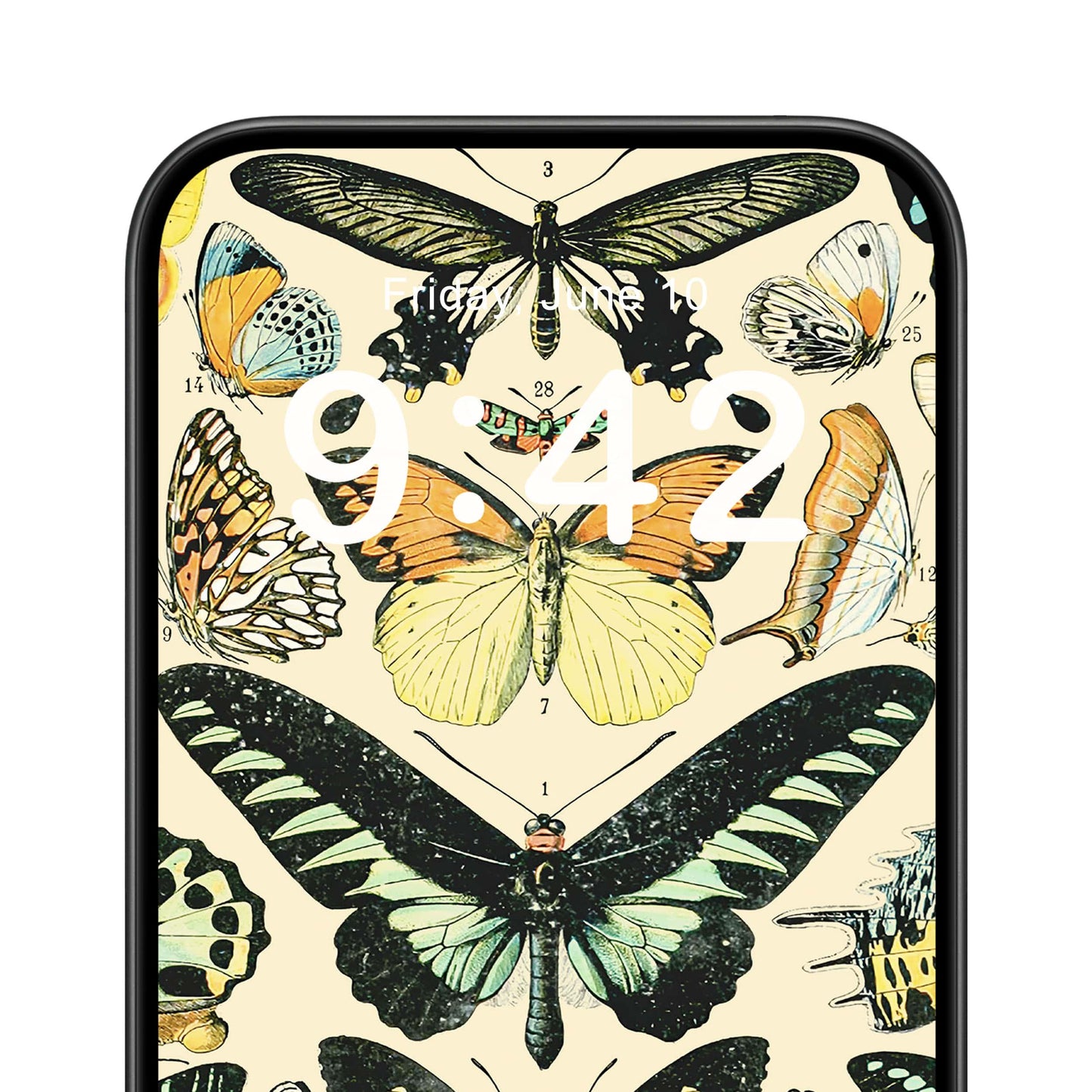 Butterflies and Moths Phone Wallpaper Close Up